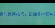 猫咪棉签清洁步骤与使用技巧正确养护猫咪的耳部健康指南