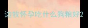 边牧怀孕吃什么狗粮好