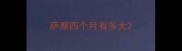 萨摩四个月有多大