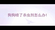 狗狗喷了杀虫剂怎么办