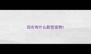 现在有什么新型宠物