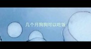 几个月狗狗可以吃饭