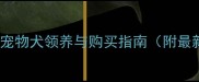 北京地区正规宠物犬领养与购买指南附最新犬舍信息