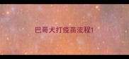 巴哥犬打疫苗流程