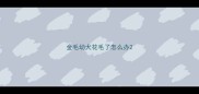 金毛幼犬花毛了怎么办