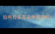 拉布拉多耳朵外面溃烂