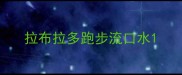 拉布拉多跑步流口水