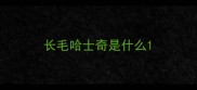 长毛哈士奇是什么