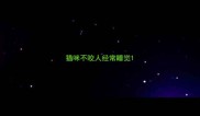 猫咪不咬人经常睡觉