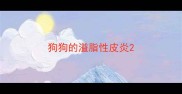 狗狗的溢脂性皮炎