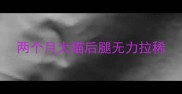 两个月大猫后腿无力拉稀