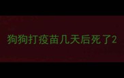 狗狗打疫苗几天后死了
