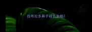 拉布拉多鼻子褪色失格