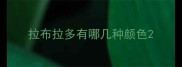 拉布拉多有哪几种颜色