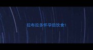 拉布拉多怀孕后饮食