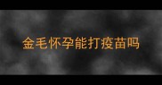 金毛怀孕能打疫苗吗