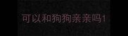 可以和狗狗亲亲吗