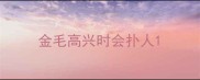 金毛高兴时会扑人
