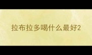 拉布拉多喝什么最好
