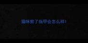 猫咪剪了指甲会怎么样