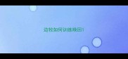 边牧如何训练唤回
