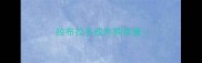 拉布拉多成年狗体重