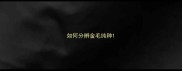 如何分辨金毛纯种