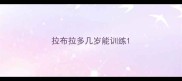拉布拉多几岁能训练