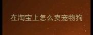 在淘宝上怎么卖宠物狗