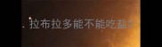 拉布拉多能不能吃盐