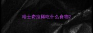 哈士奇拉稀吃什么食物