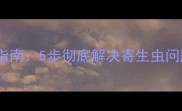 狗狗身上有虫怎么办专业指南5步彻底解决寄生虫问题附家庭护理与预防技巧