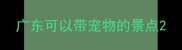 广东可以带宠物的景点