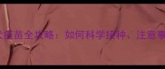 狗狗必打狂犬疫苗全攻略如何科学接种注意事项及常见问题