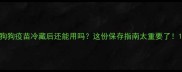 狗狗疫苗冷藏后还能用吗这份保存指南太重要了