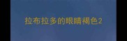 拉布拉多的眼睛褐色