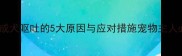 拉布拉多成犬呕吐的5大原因与应对措施宠物主人必读指南