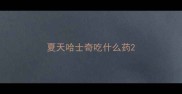 夏天哈士奇吃什么药
