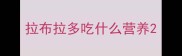 拉布拉多吃什么营养