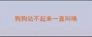 狗狗站不起来一直叫唤