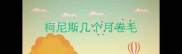 柯尼斯几个月卷毛