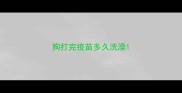 狗打完疫苗多久洗澡