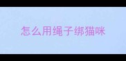 怎么用绳子绑猫咪