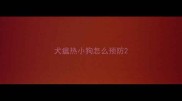 犬瘟热小狗怎么预防