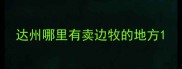 达州哪里有卖边牧的地方