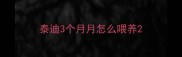 泰迪3个月月怎么喂养