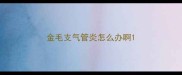 金毛支气管炎怎么办啊