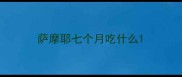 萨摩耶七个月吃什么