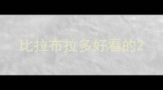 比拉布拉多好看的