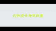 边牧成长身高体重